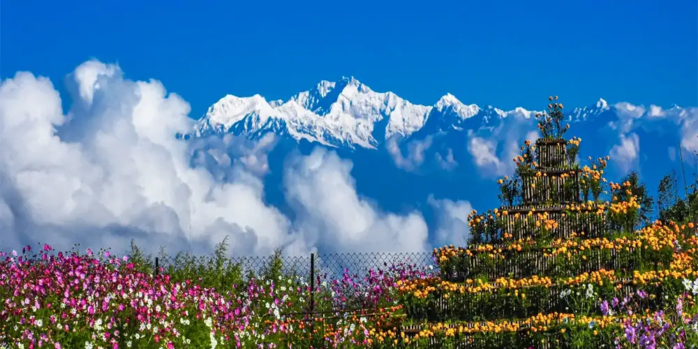North Bengal Tour Package From Kolkata